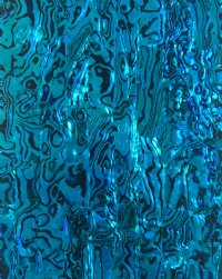 LIGHT BRIGHT BLUE PAUA ABALONE 