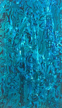 LIGHT BRIGHT BLUE PAUA ABALONE 