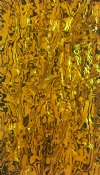 YELLOW GOLD BACK PAUA ABALONE