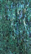 SEAFOAM PAUA ABALONE