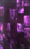 PURPLE/BLACK SILVER LIP ABALONE