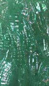 SEAFOAM RIPPLED AWABI ABALONE