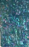 ICE BLUE RIPPLED AWABI ABALONE