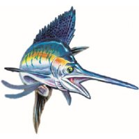 SAILFISH (ACTION)