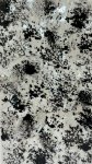 LIQUID SQUID SILVER LIP ABALONE