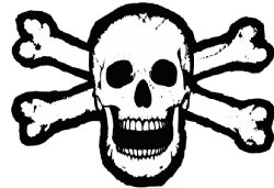 SKULL & BONES