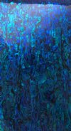 DARK BLUE PAUA ABALONE
