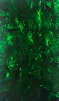 DARK GREEN / BLACK SILVER LIP ABALONE