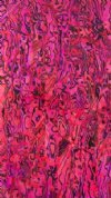 HOT PINK PAUA ABALONE