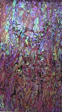 TRUE ICE PURPLE PAUA ABALONE