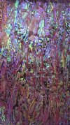 TRUE ICE PURPLE PAUA ABALONE