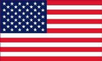 American Flag (Flat)